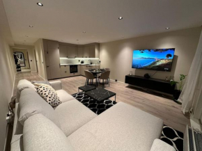 Central luxurious apartment